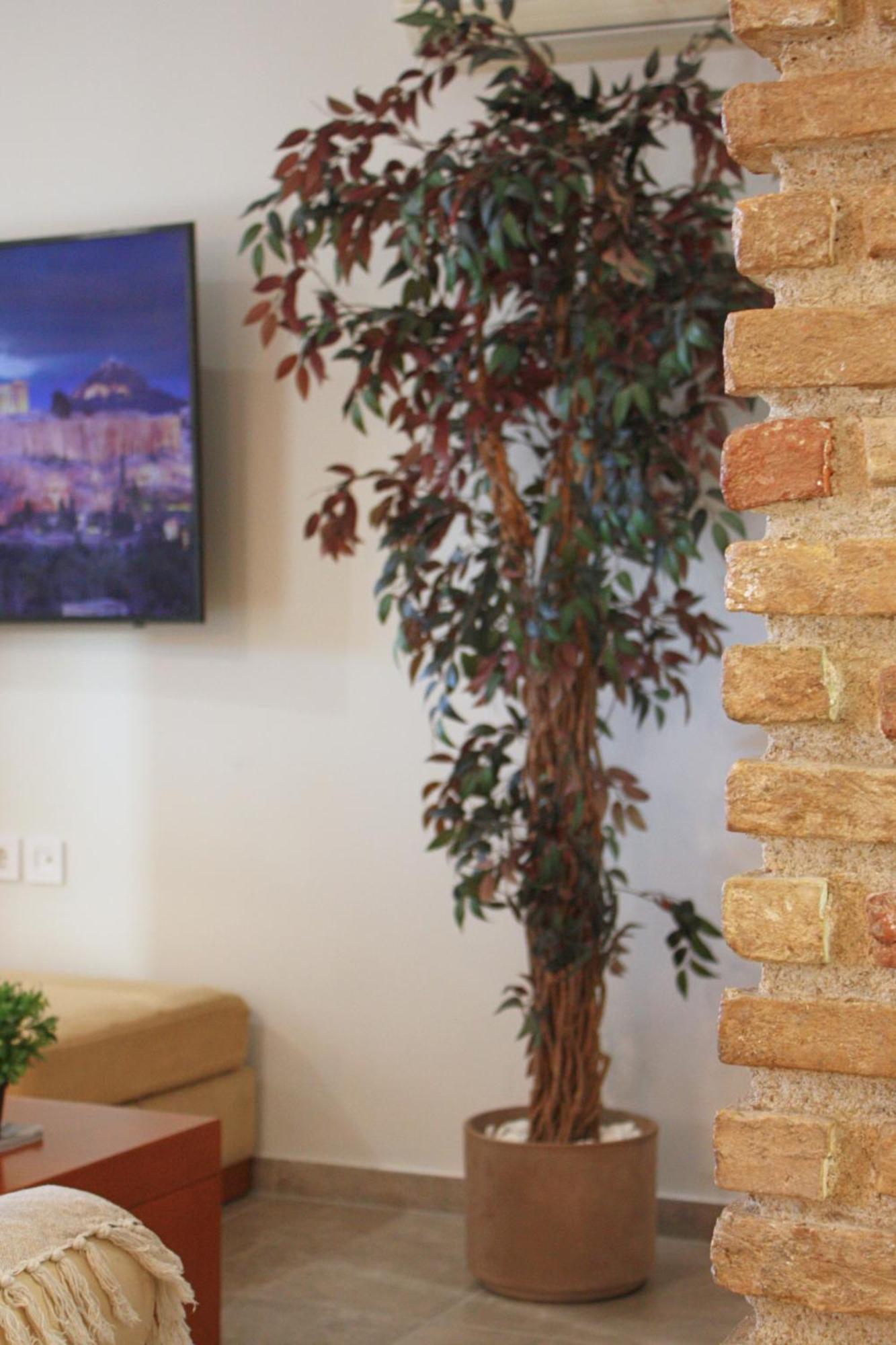 Camara Suite Kos Town Ngoại thất bức ảnh